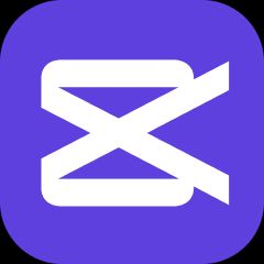 CapCut Commerce Pro