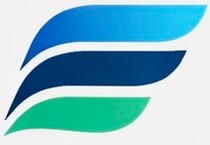 Eliciteer logo