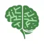 Finance Brain logo
