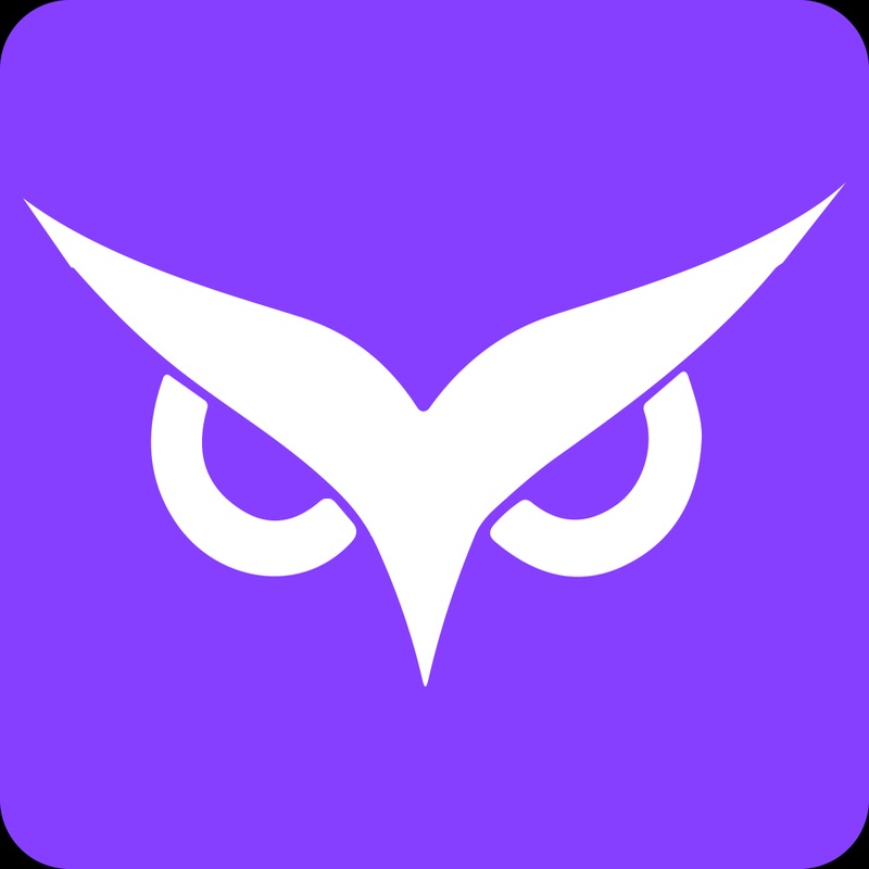 Owlity logo