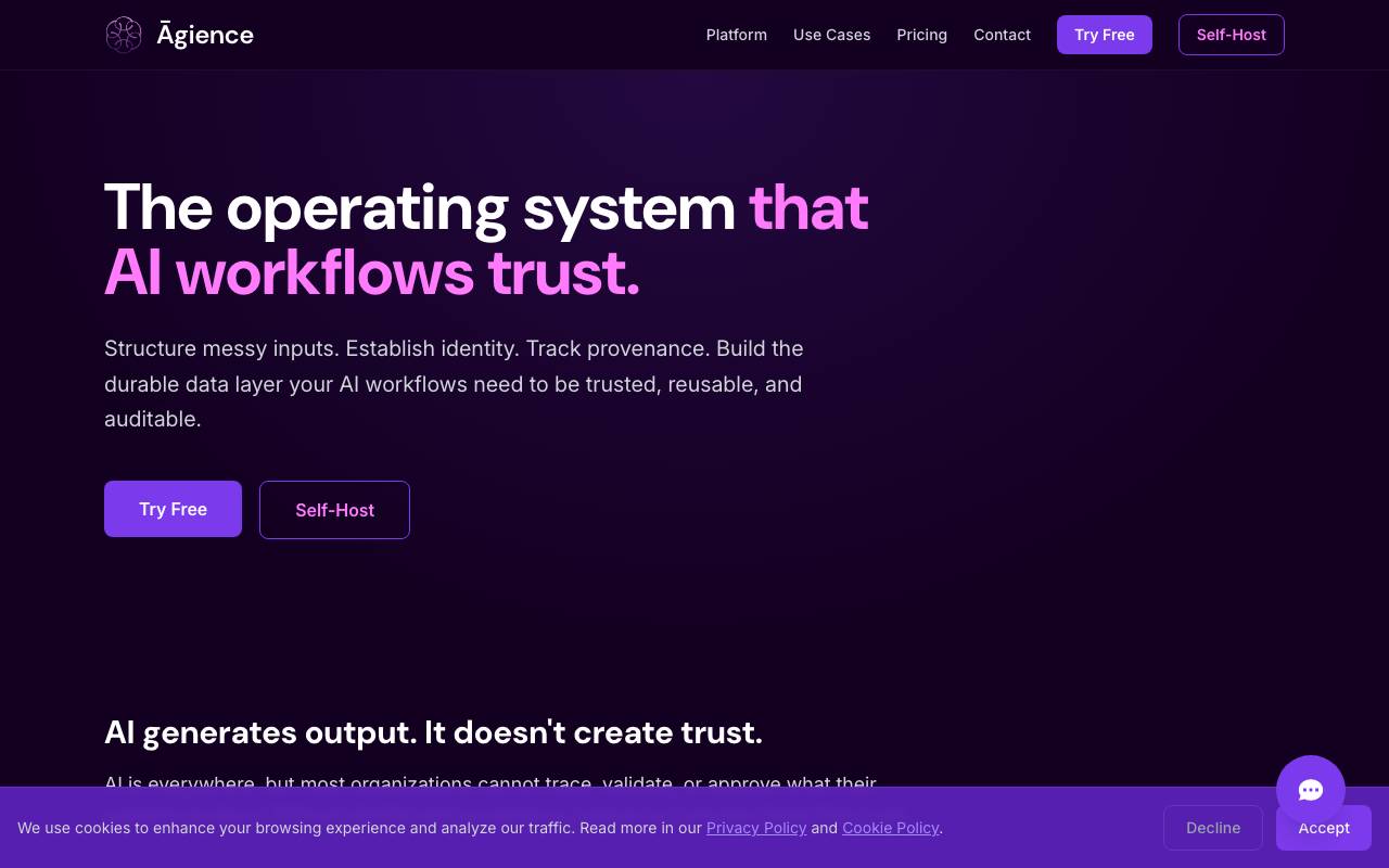 Agience website preview