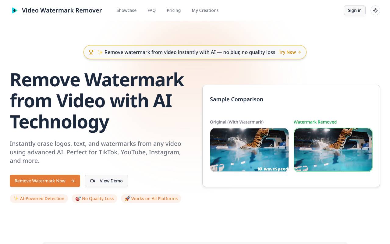 AI Video Watermark Remover website preview