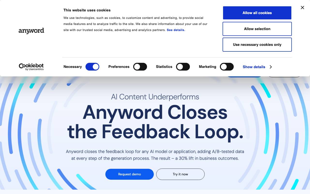 Anyword website preview