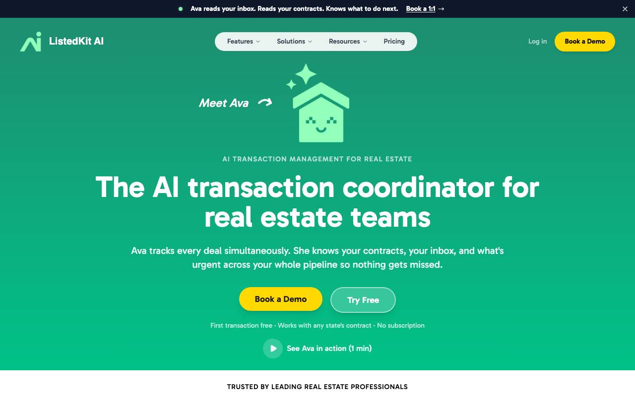 Ava website preview