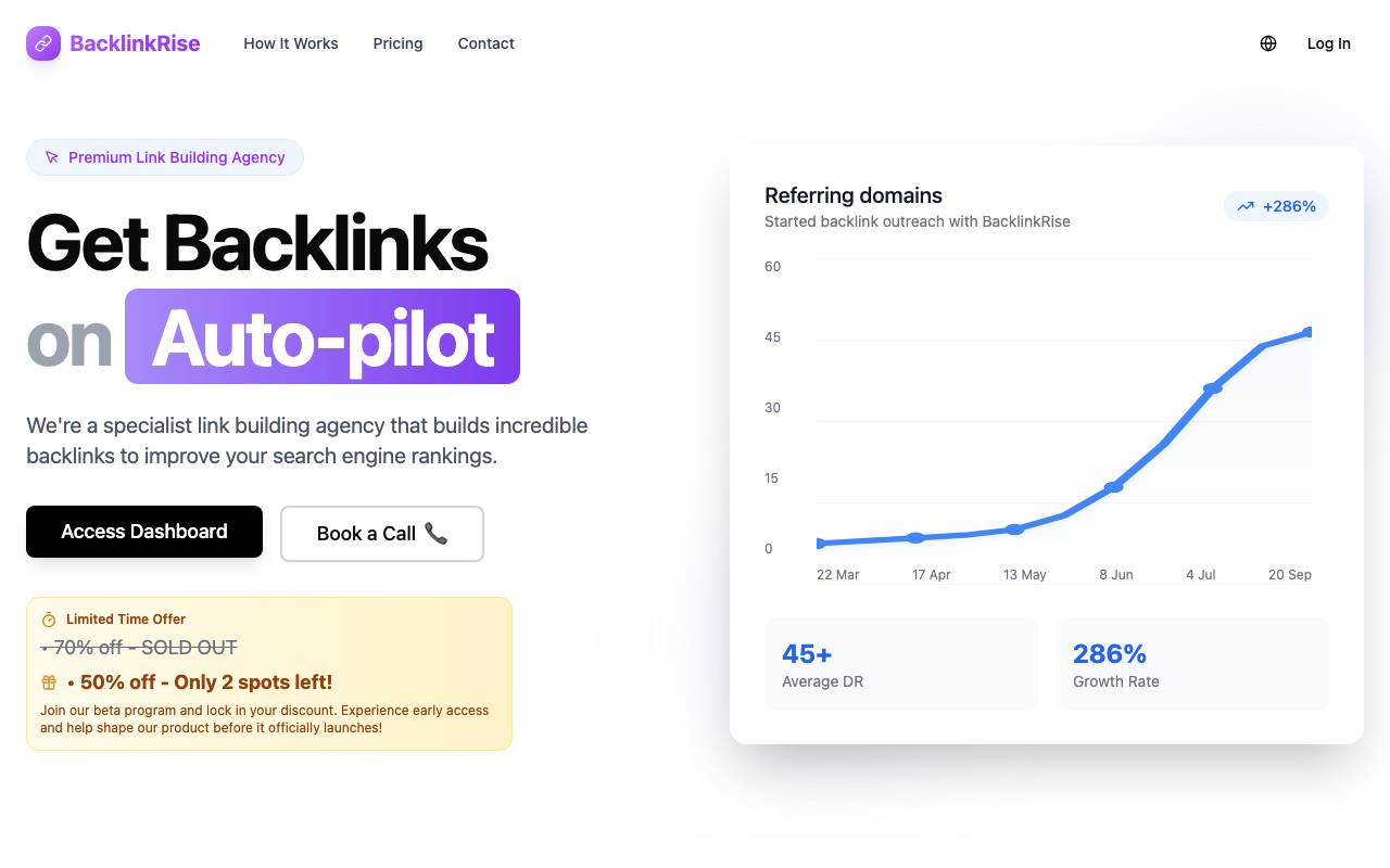 BacklinkRise website preview
