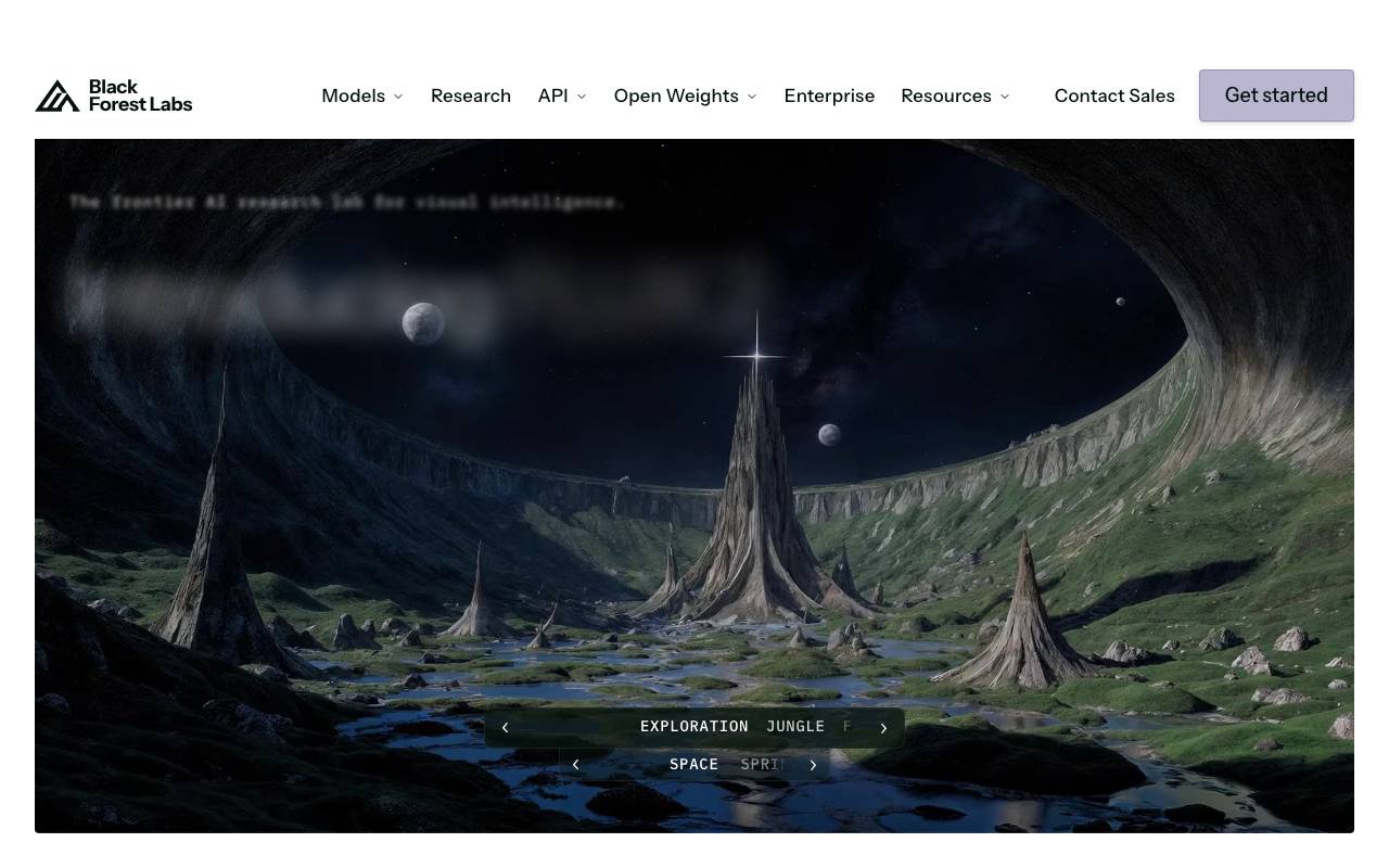 Black Forest Labs website preview