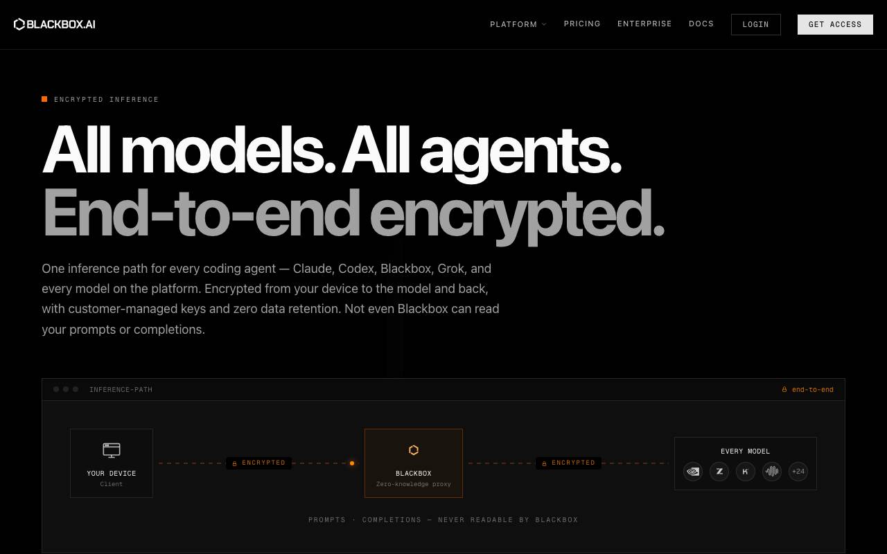 Blackbox AI website preview