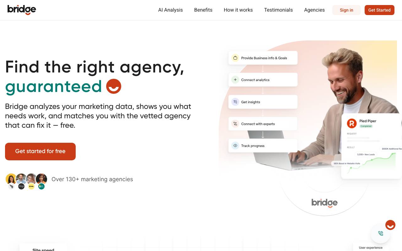 Bridge website preview