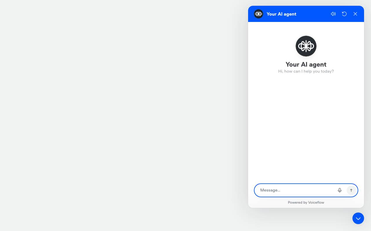 Customer Support Demo website preview