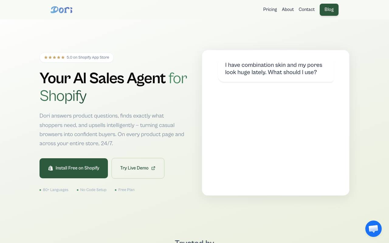 Dori Chatbot website preview