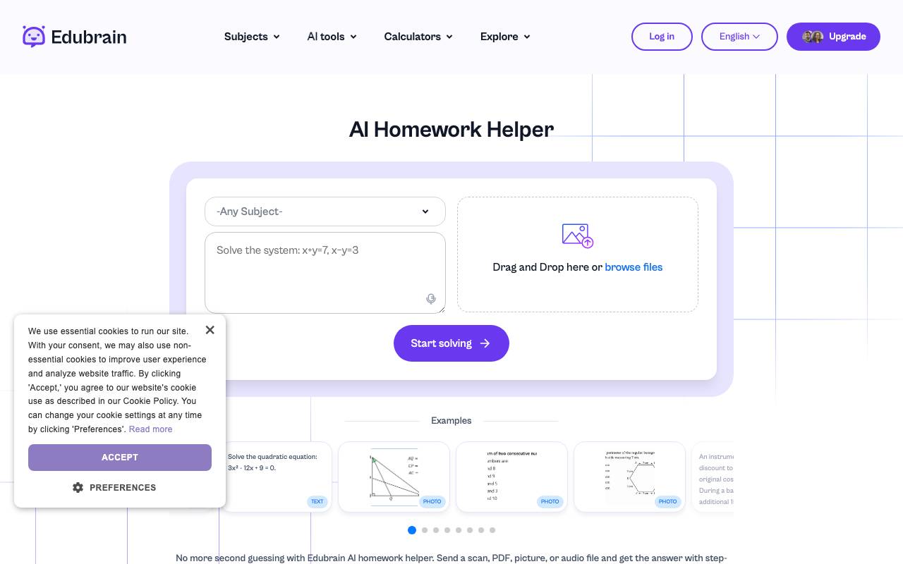 Edubrain website preview