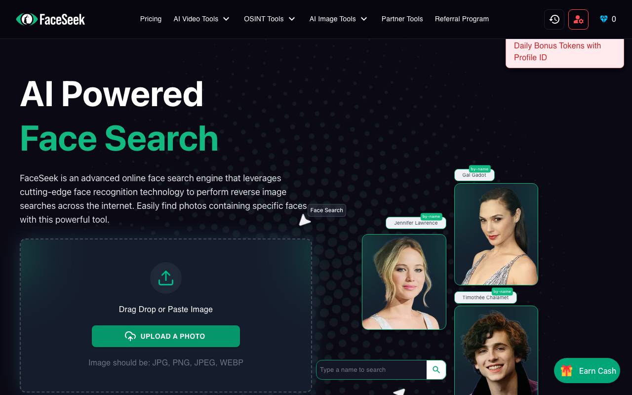 FaceSeek website preview