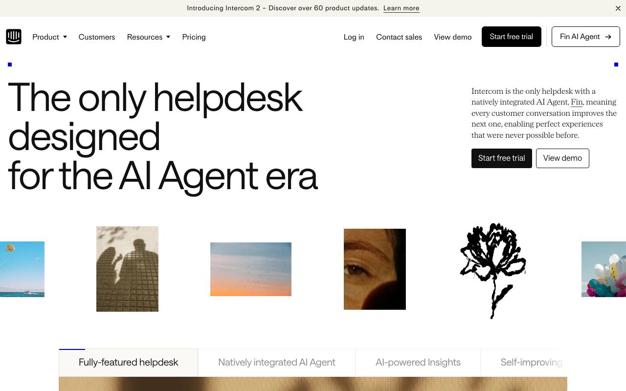 Fin website preview
