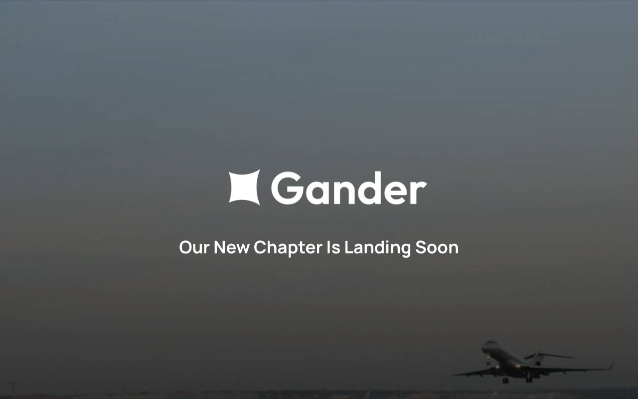 Gander AI website preview