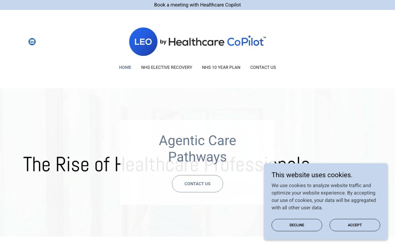 Healthcare CoPilot website preview