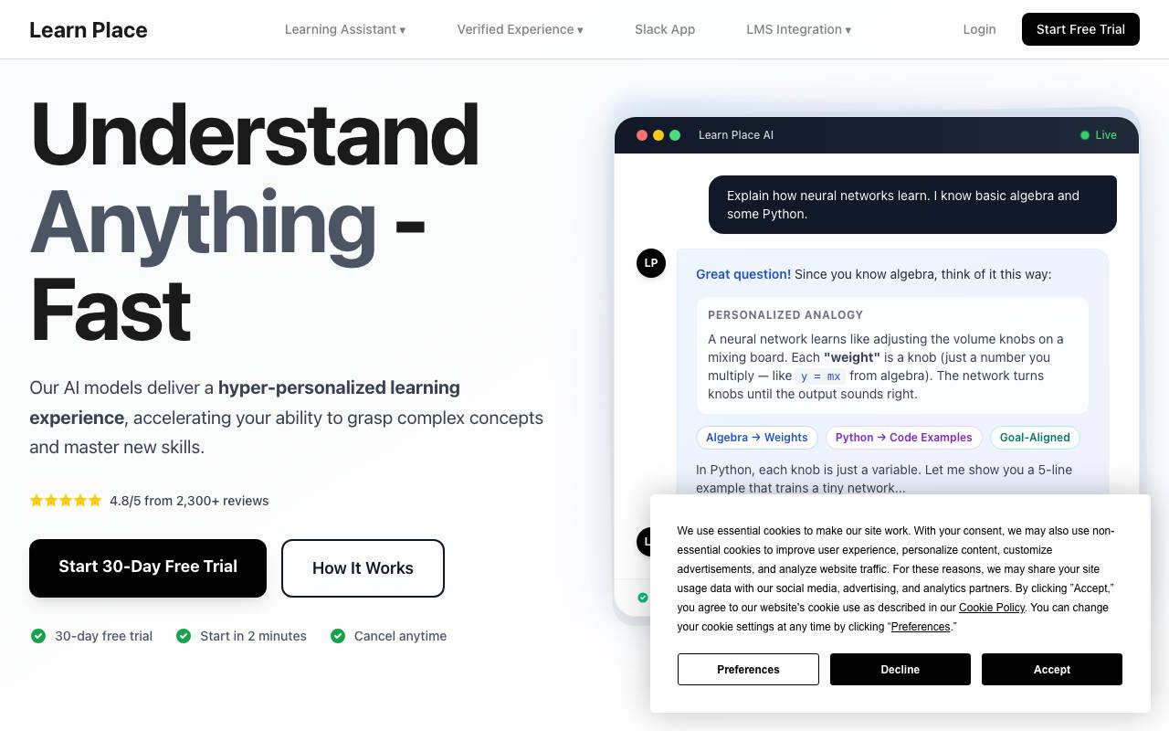 Learn Place Personalized Learning Assistant website preview