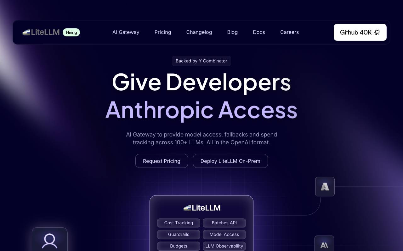 LiteLLM website preview