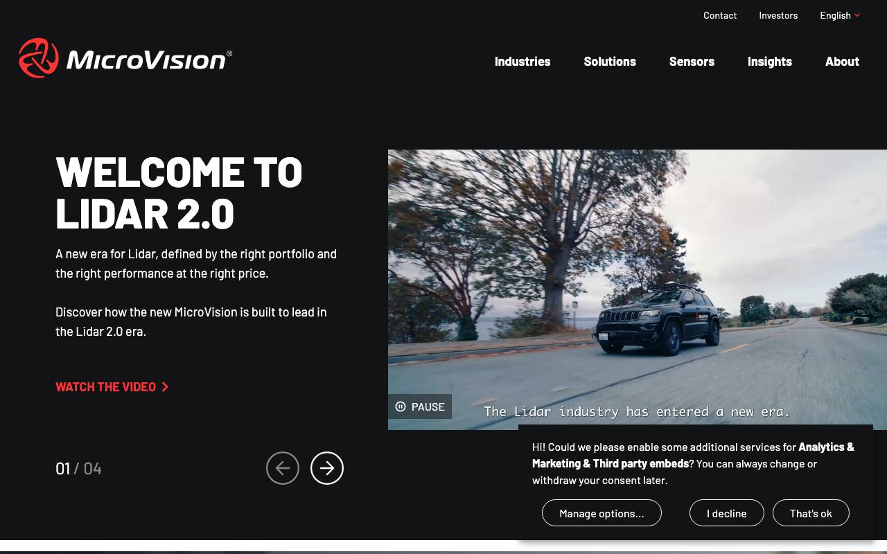 Luminar website preview