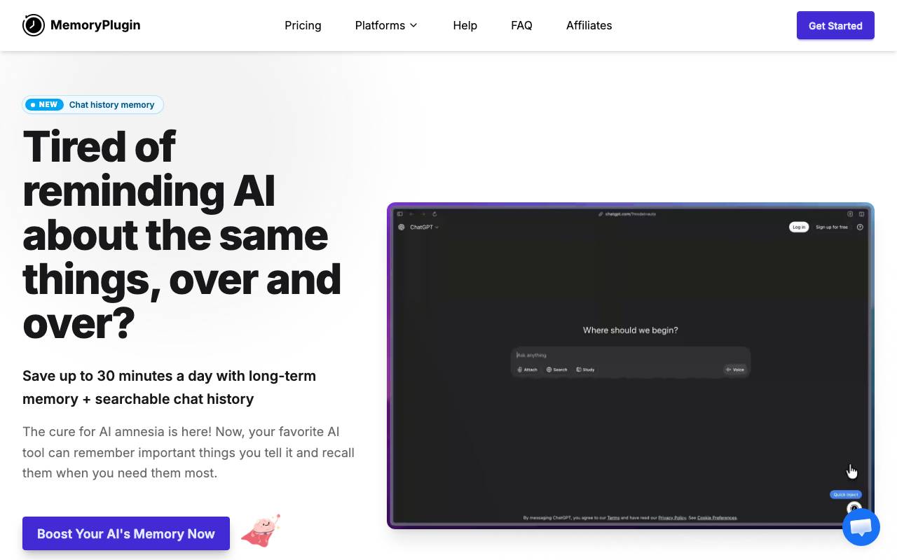 MemoryPlugin website preview