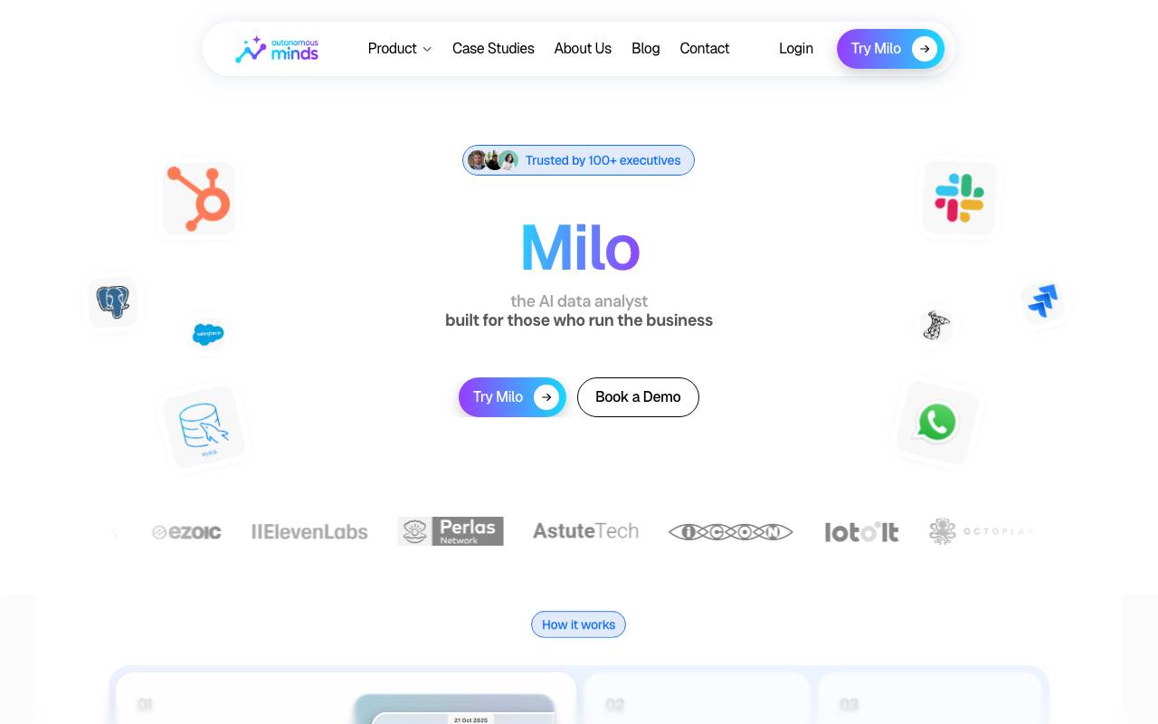 Milo - AI Data Analyst website preview
