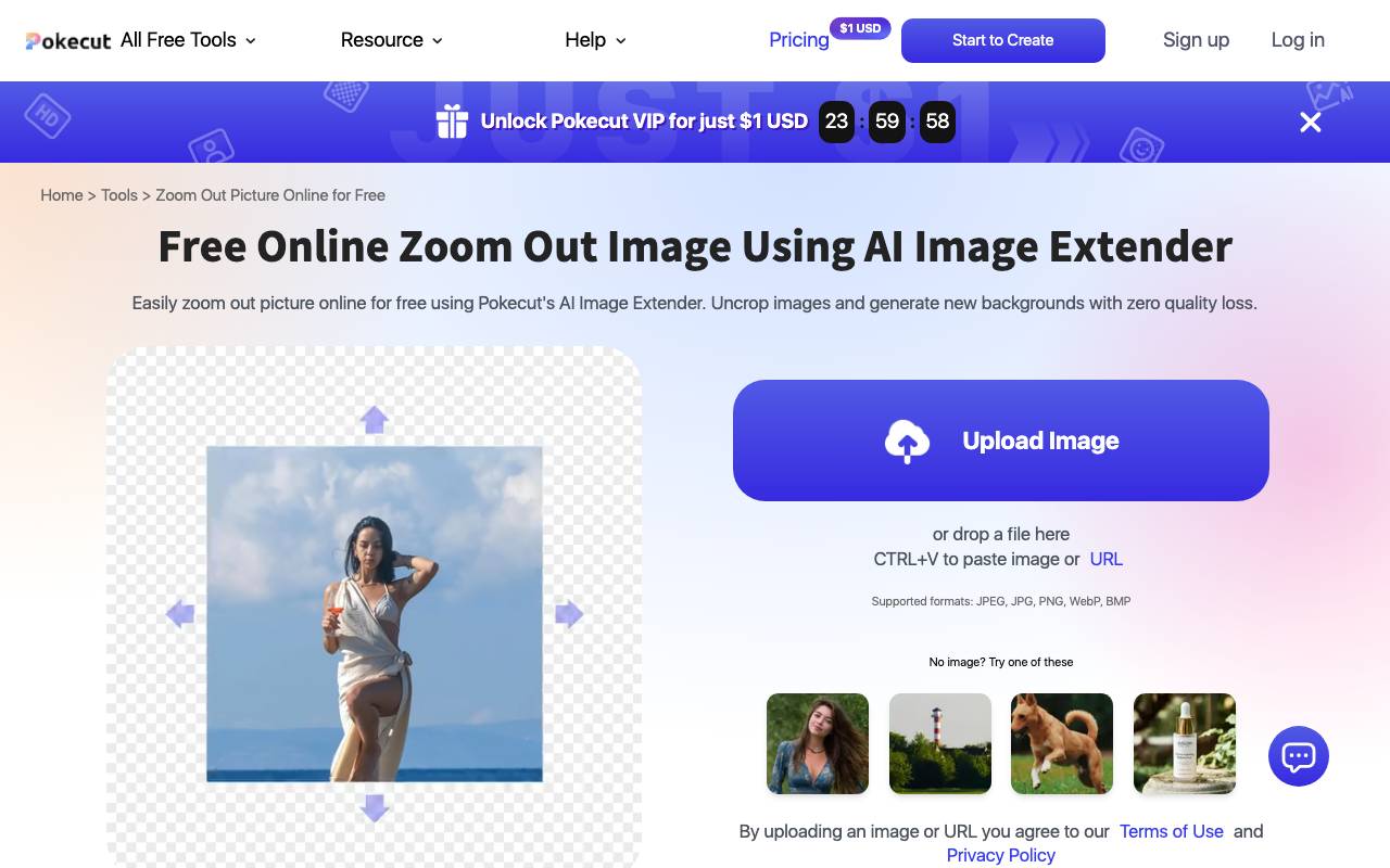 Online Zoom Out Image website preview