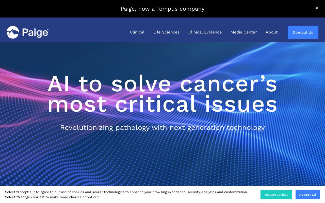 Paige AI website preview