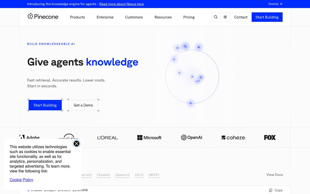 Pinecone website preview
