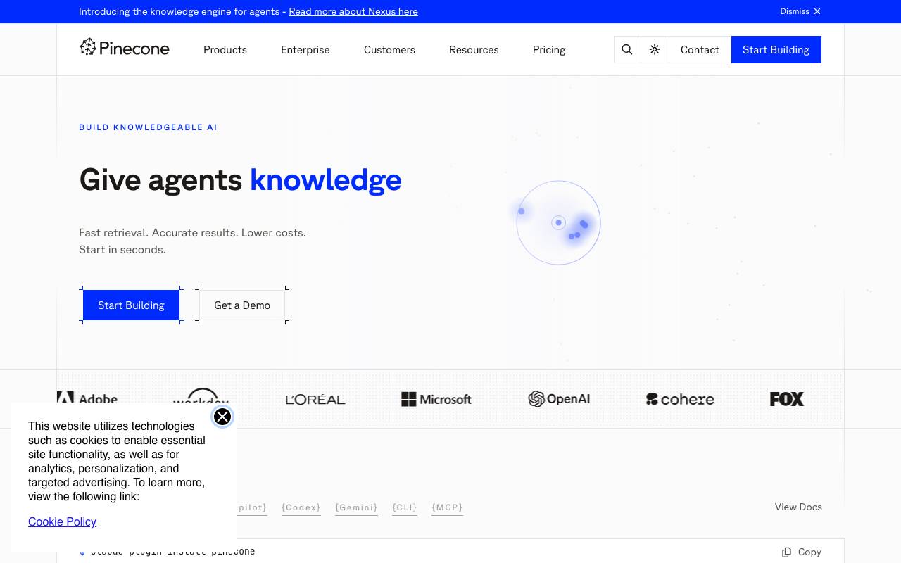 Pinecone AI website preview