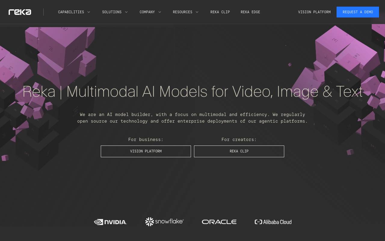 Reka AI website preview