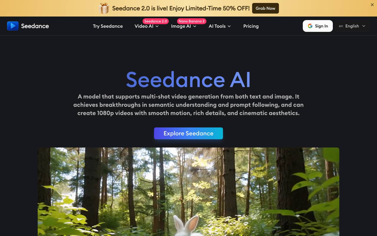 Seedance website preview