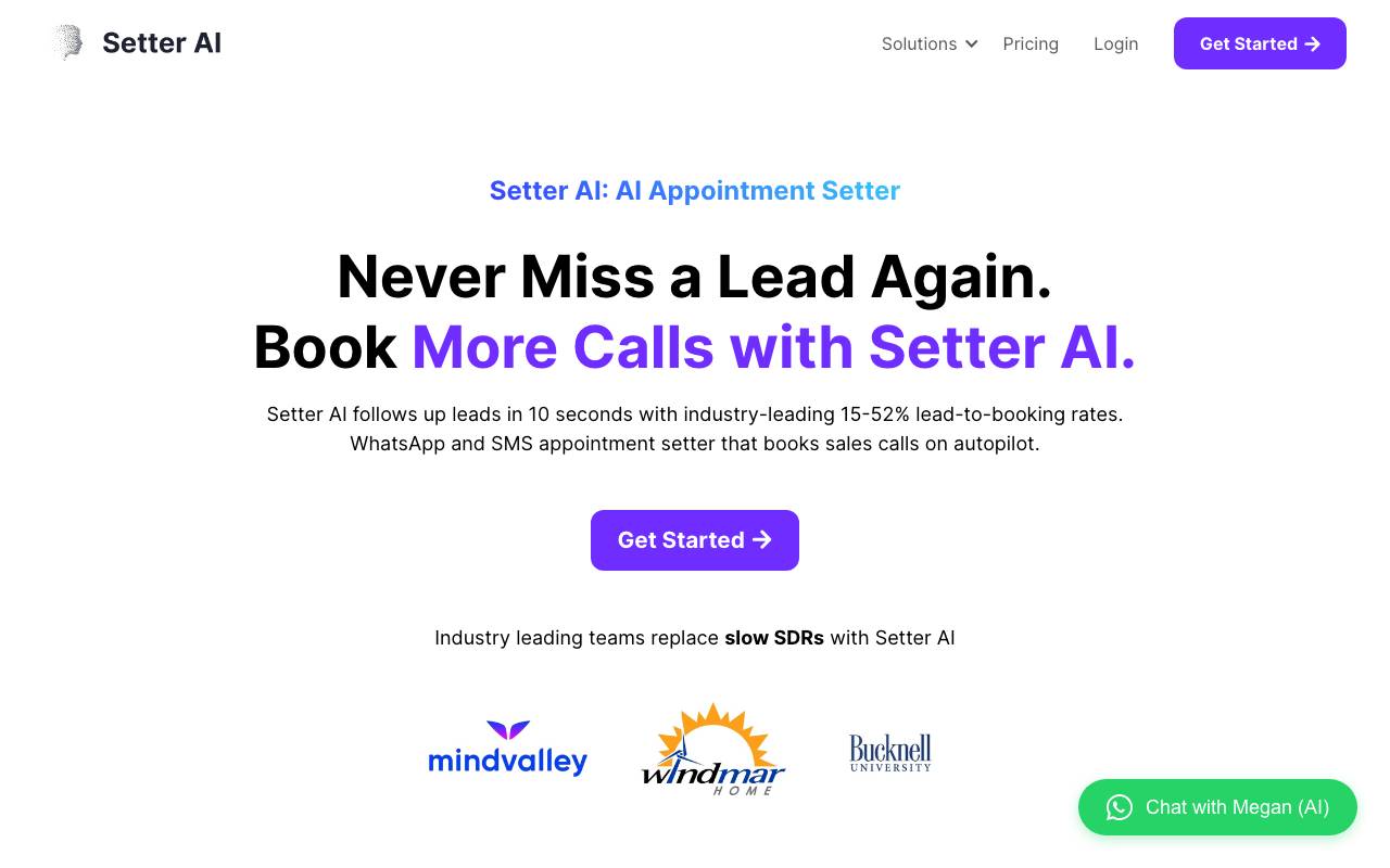 Setter AI website preview