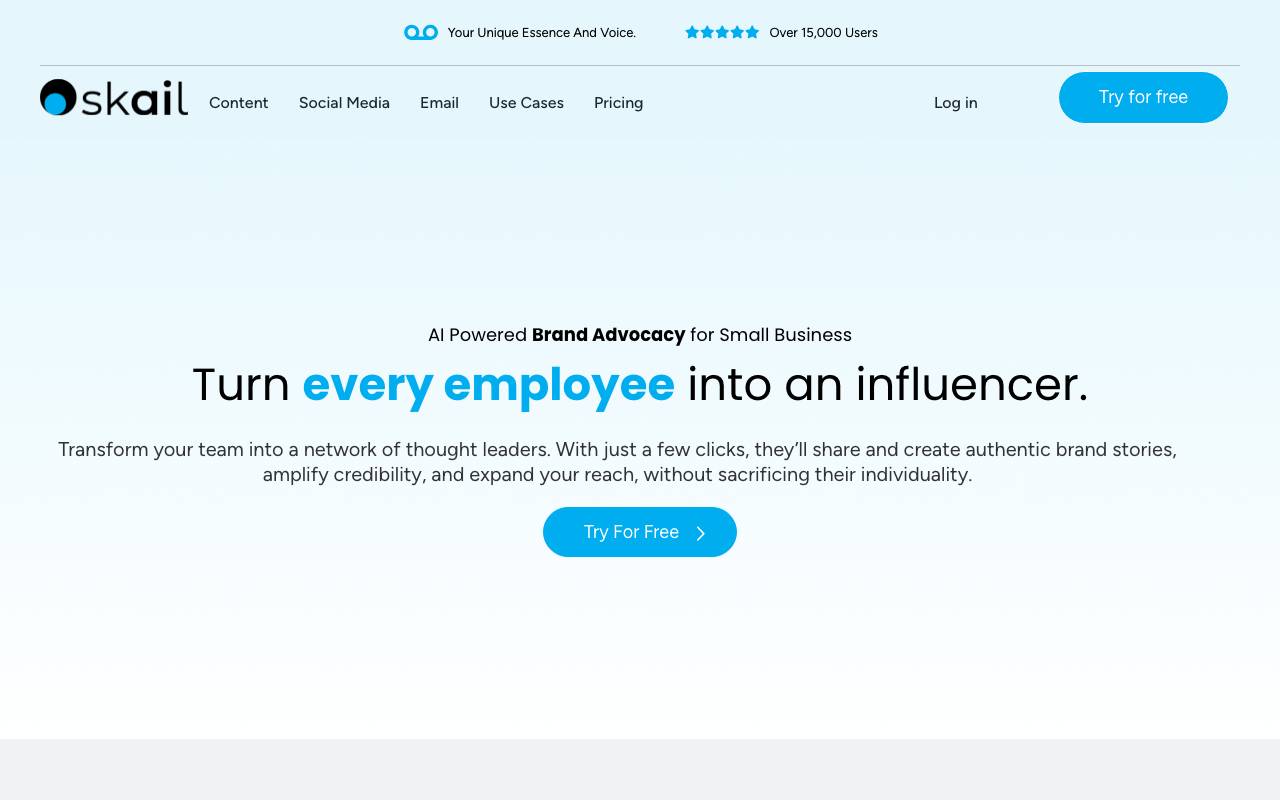 Skail website preview