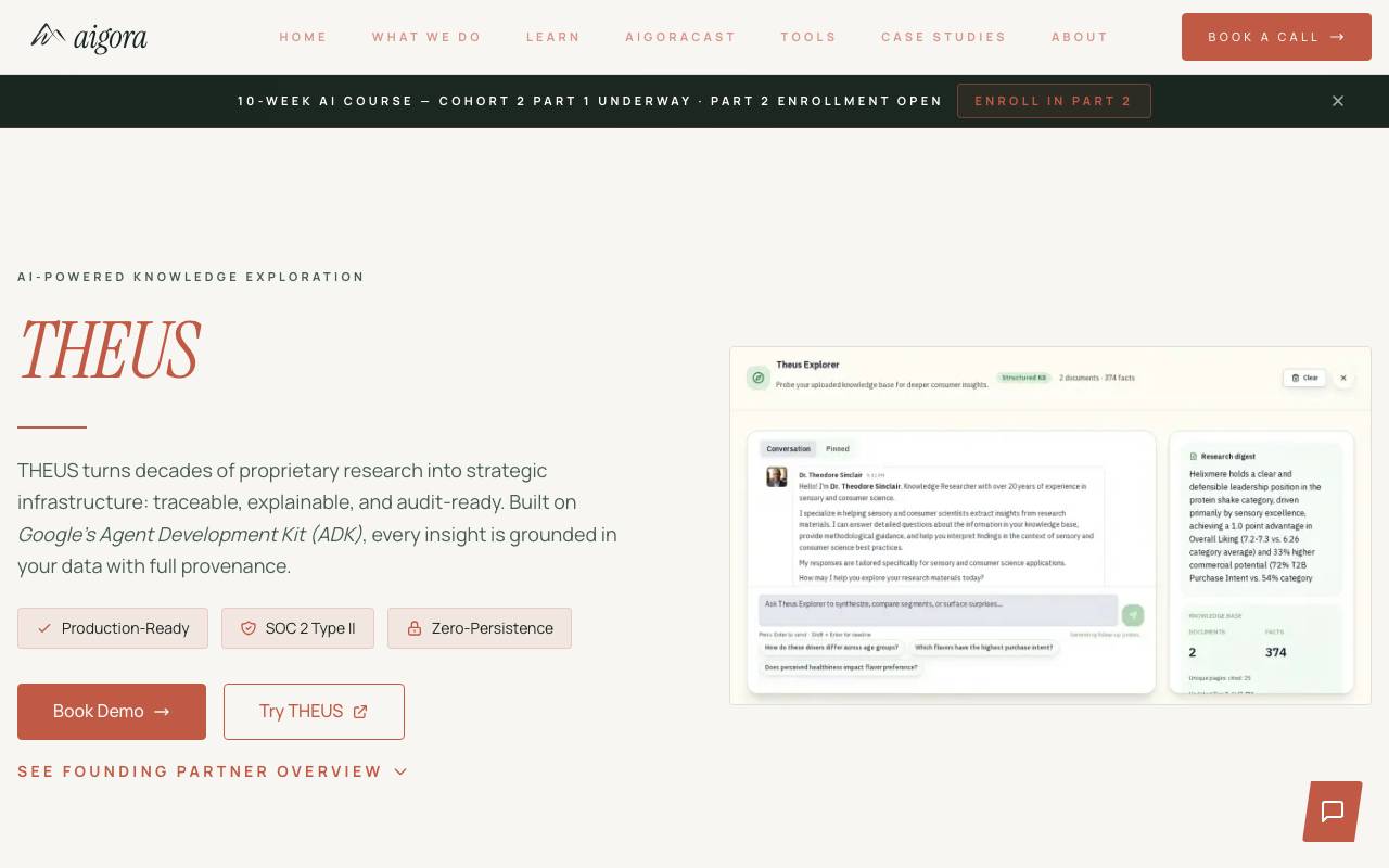 THEUS (Aigora) website preview