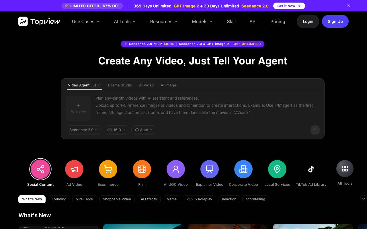 TopView AI website preview