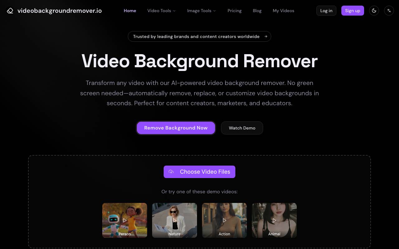 Video Background Remover website preview