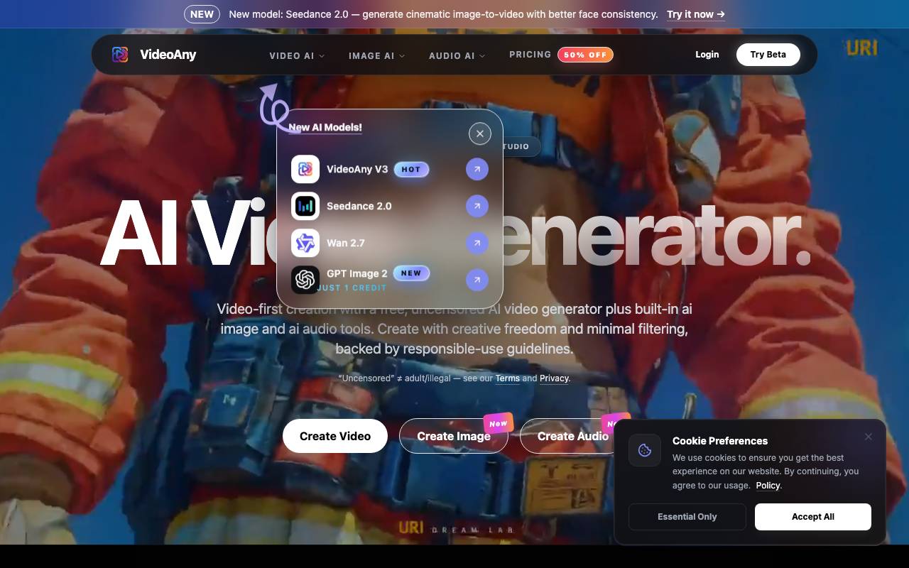 VideoAny website preview