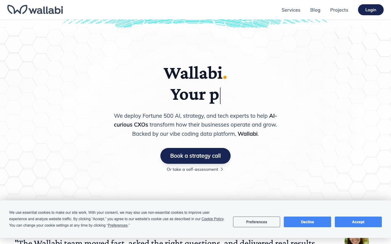 Wallabi website preview