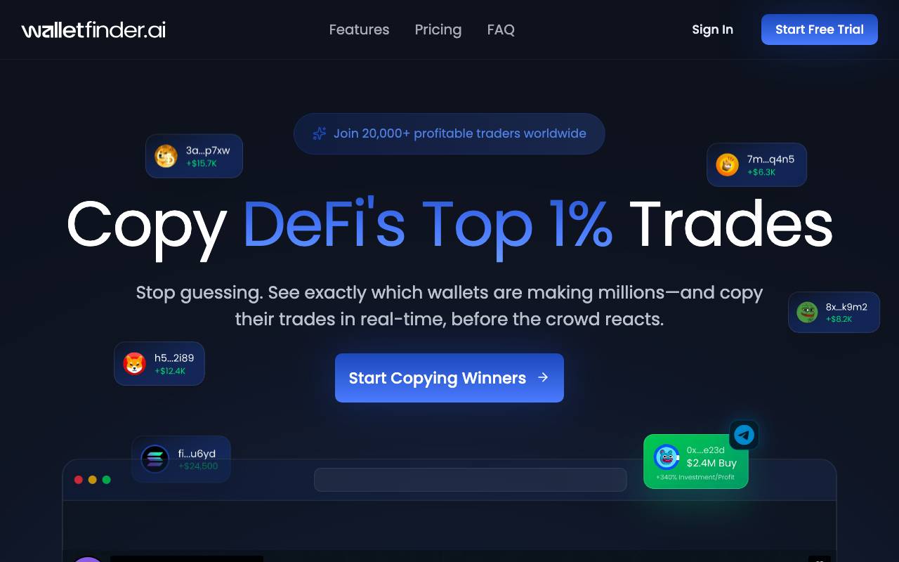 Wallet Finder website preview