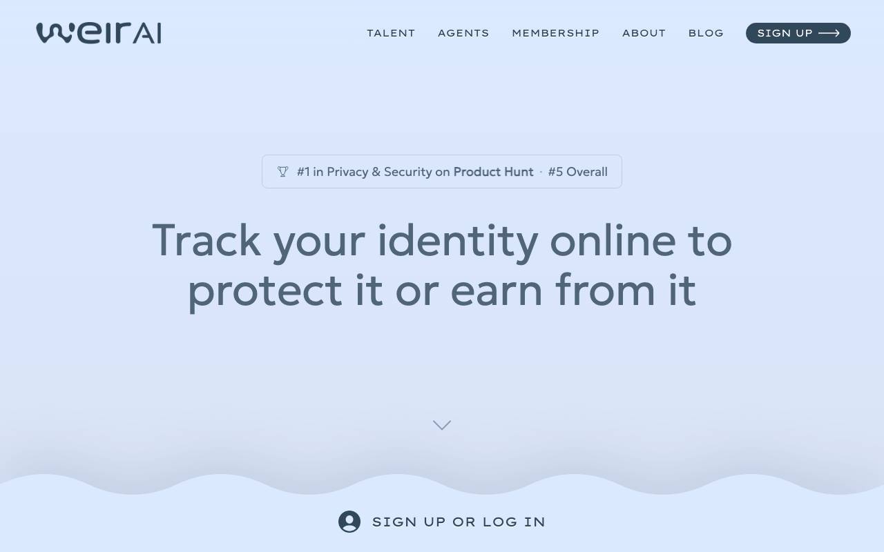 WEIR AI website preview