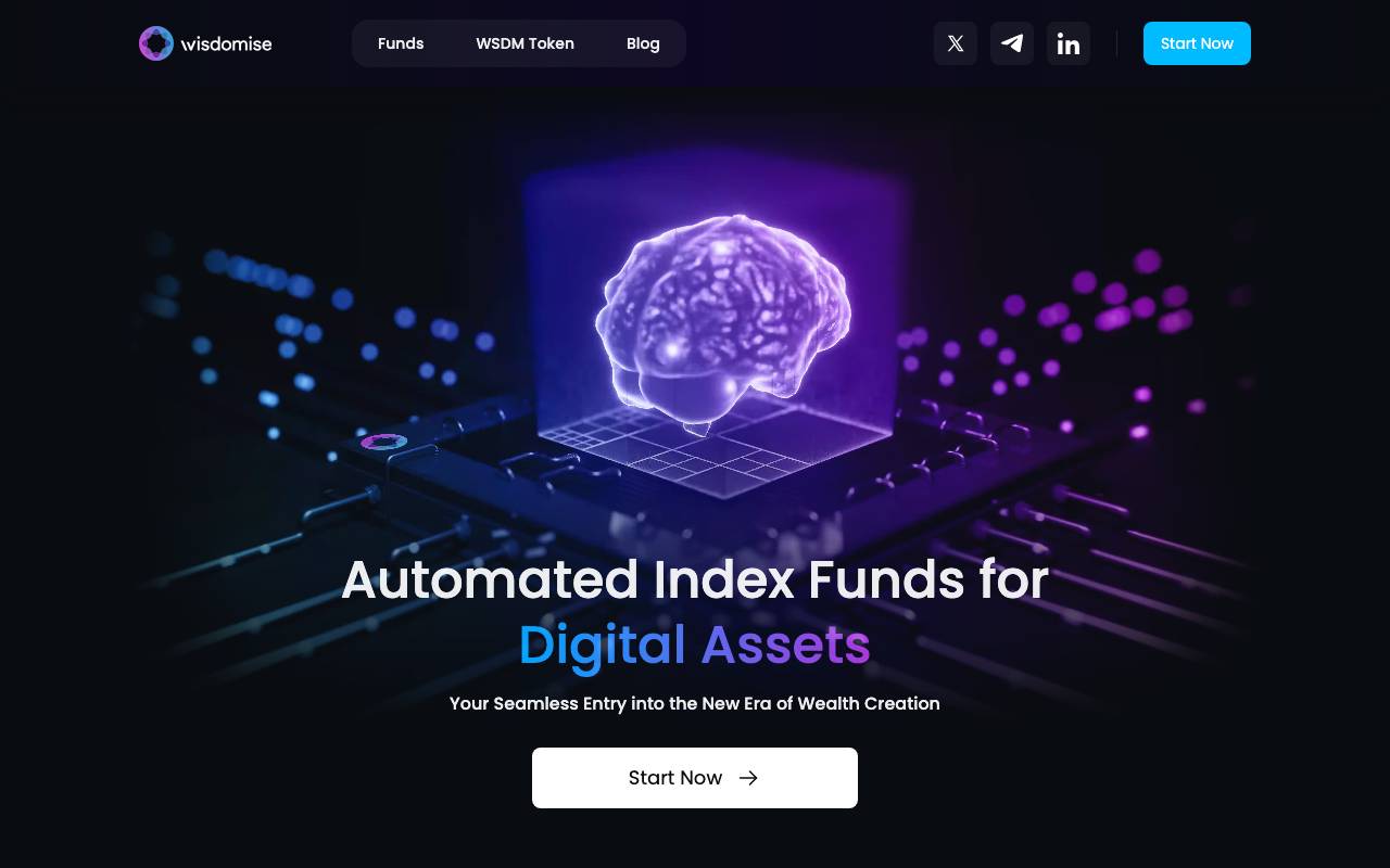 Wisdomise website preview