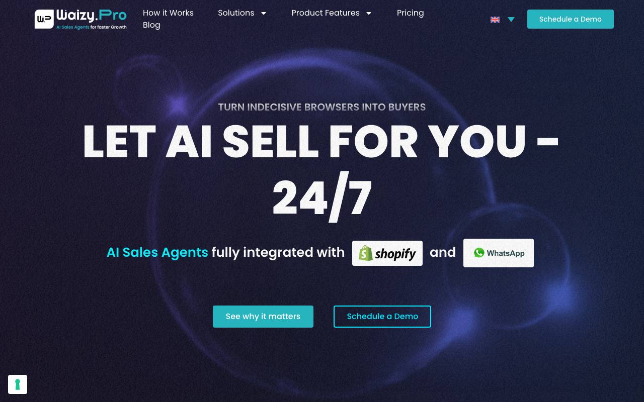 Wizy.Pro website preview