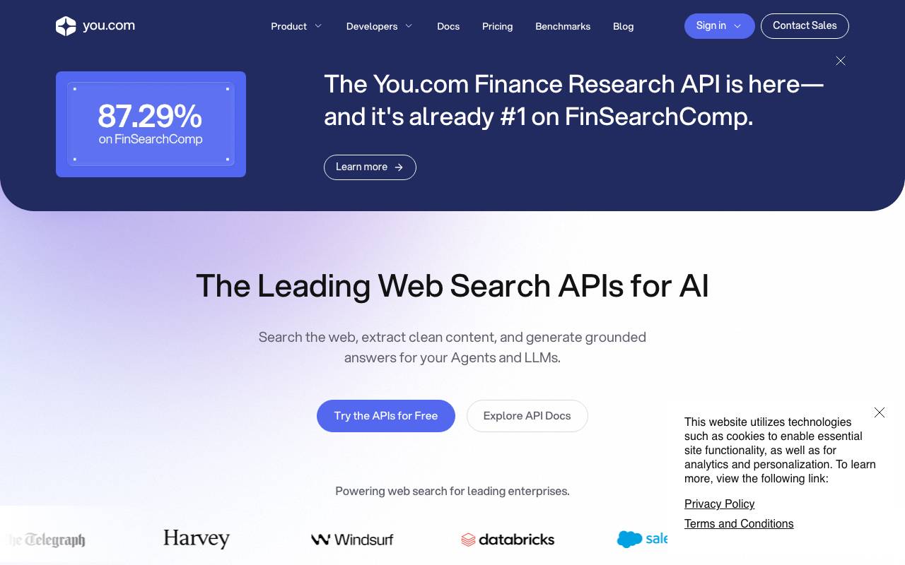 You.com website preview